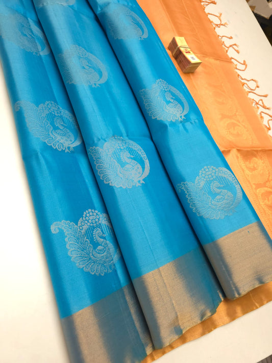 Handloom Silk Saree 198
