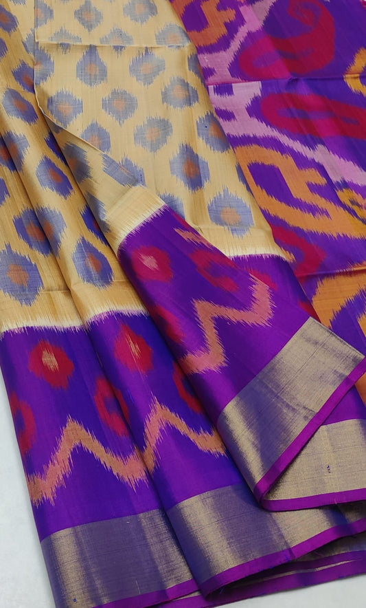 Handloom Pochampalli Silk Saree - 2010